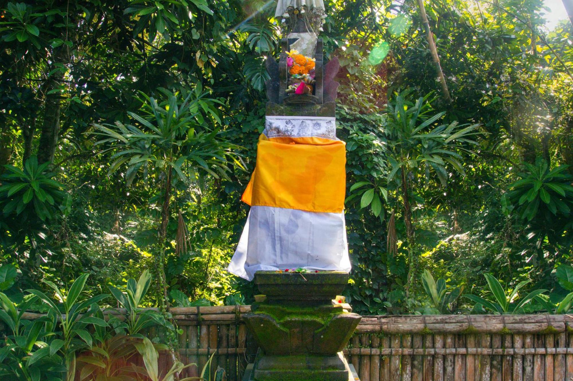 Parvati Retreat Villas อูบุด ภายนอก รูปภาพ